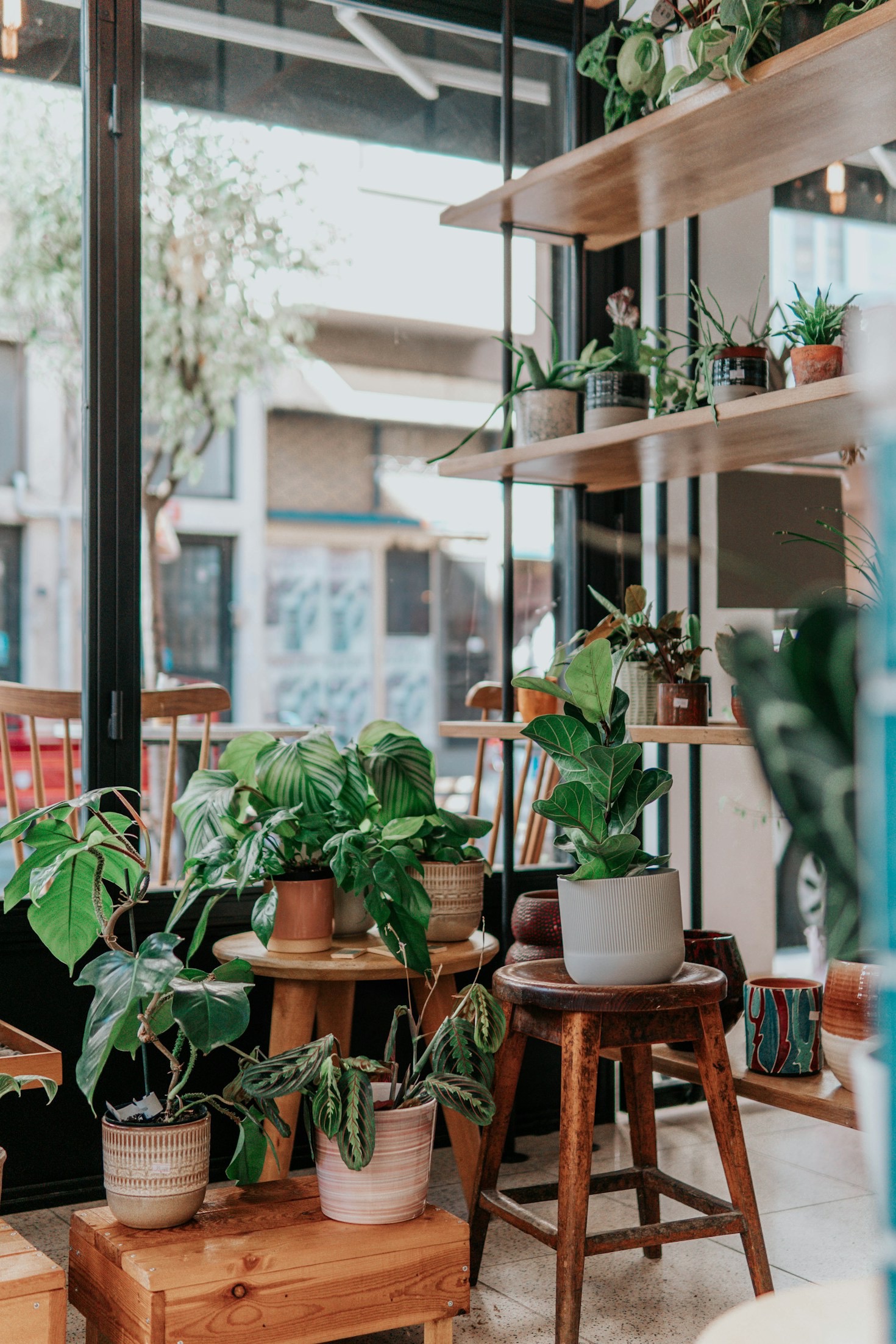 The Role of Technology in Modern Botany